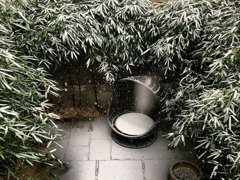 Bed and Breakfast Clarendon Square Boston Exterior foto