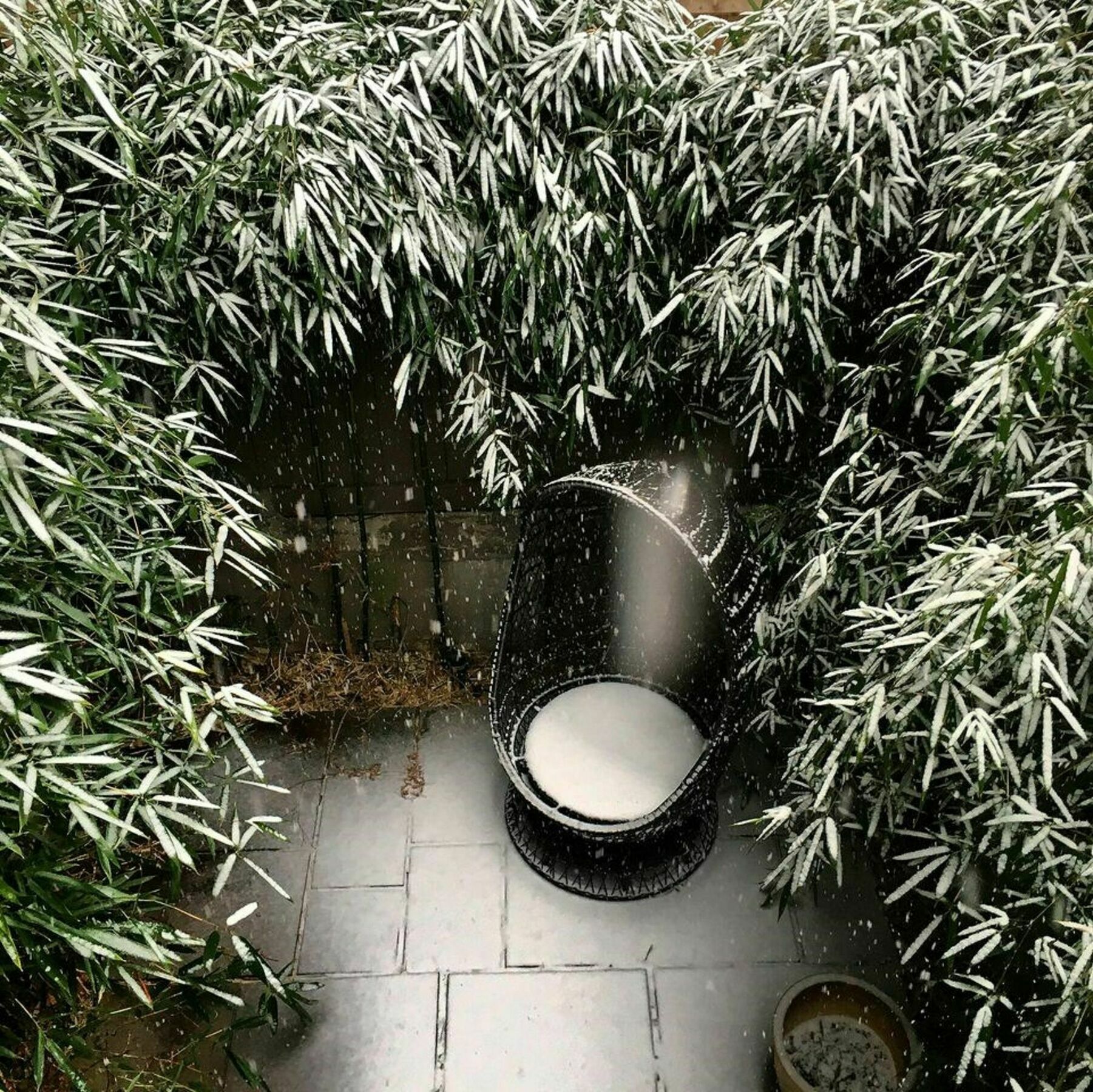 Bed and Breakfast Clarendon Square Boston Exterior foto