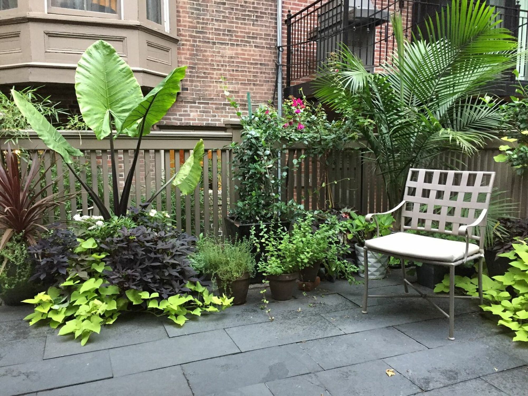 Bed and Breakfast Clarendon Square Boston Exterior foto